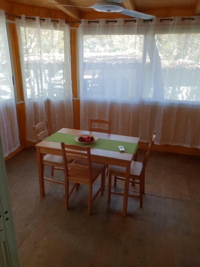 Cucaracha Appartement *